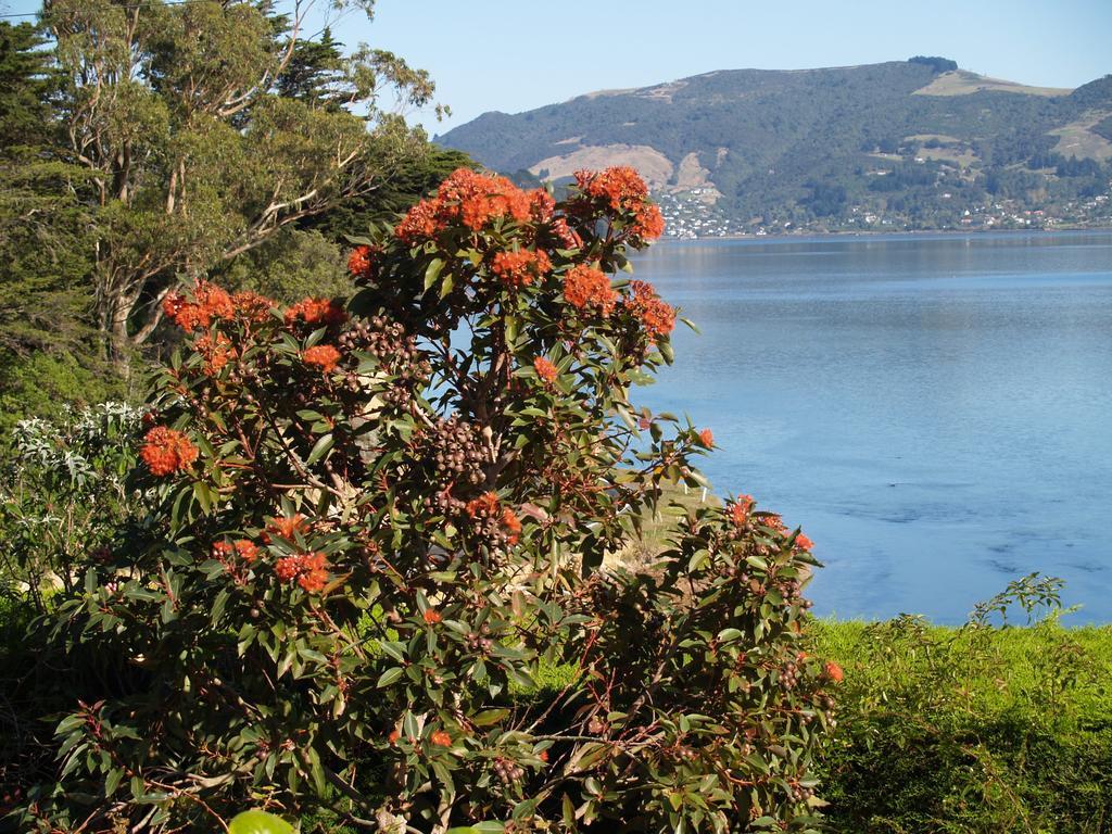 Captain Eady'S Lookout Portobello Εξωτερικό φωτογραφία